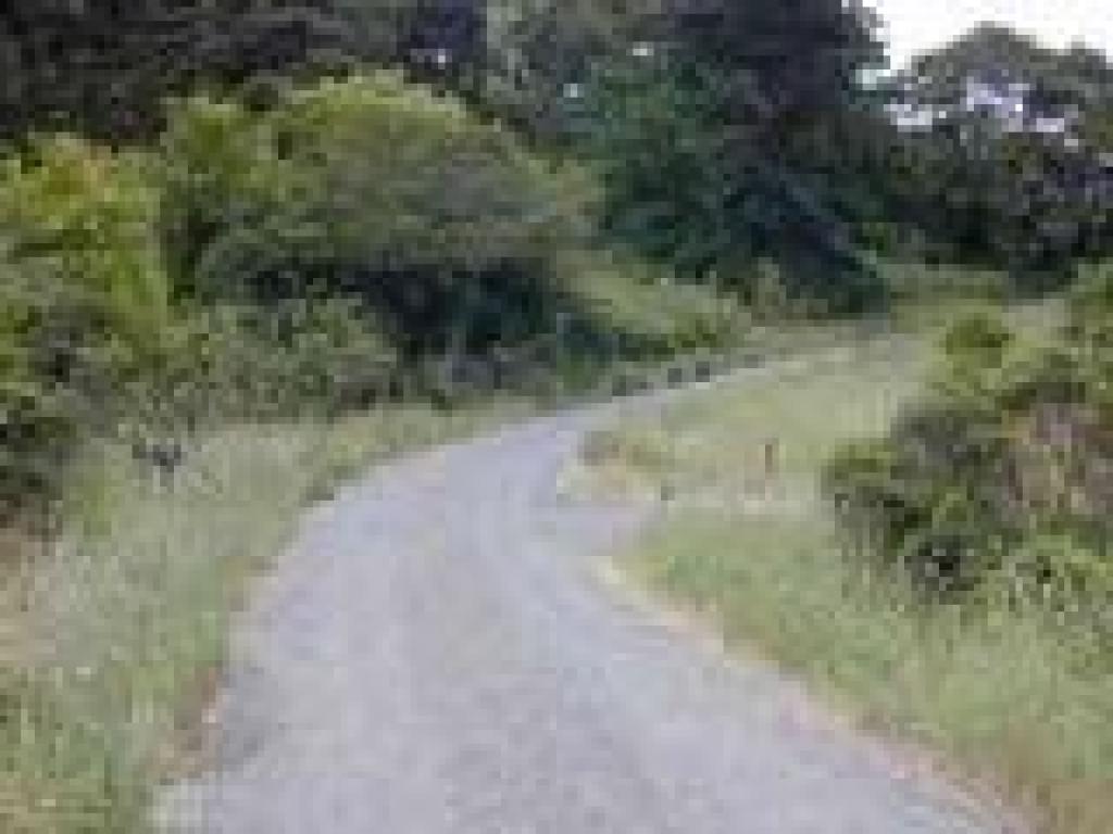 Junction