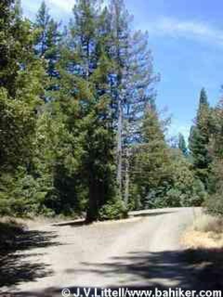 Hihn's Mill Road