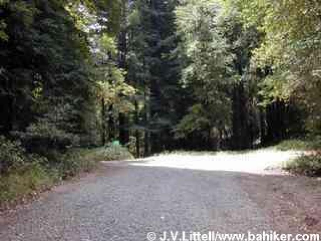 Junction with Sulphur Springs Trail