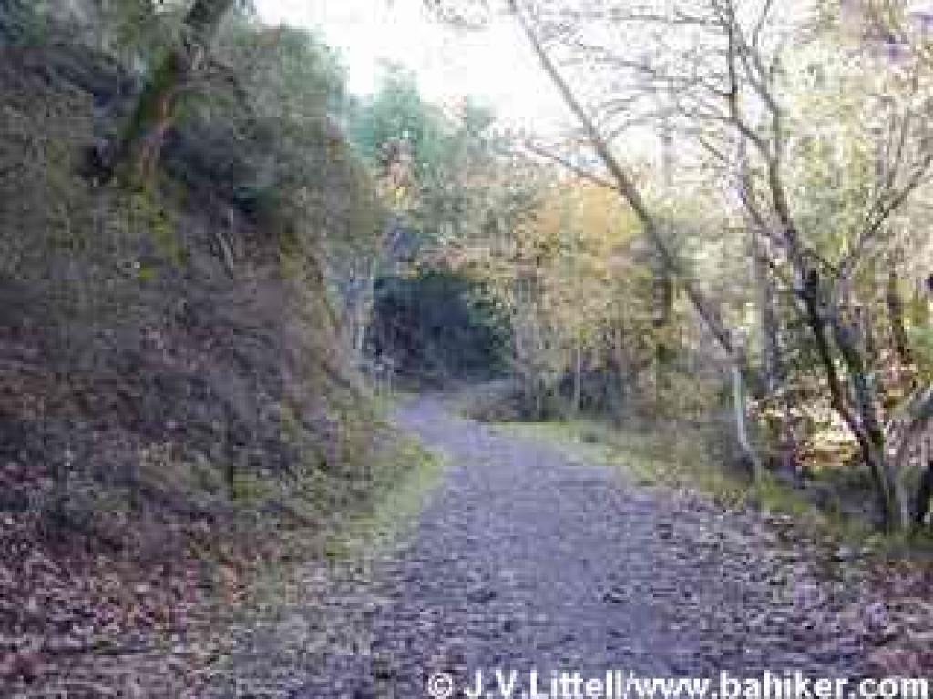 Stevens Creek Trail