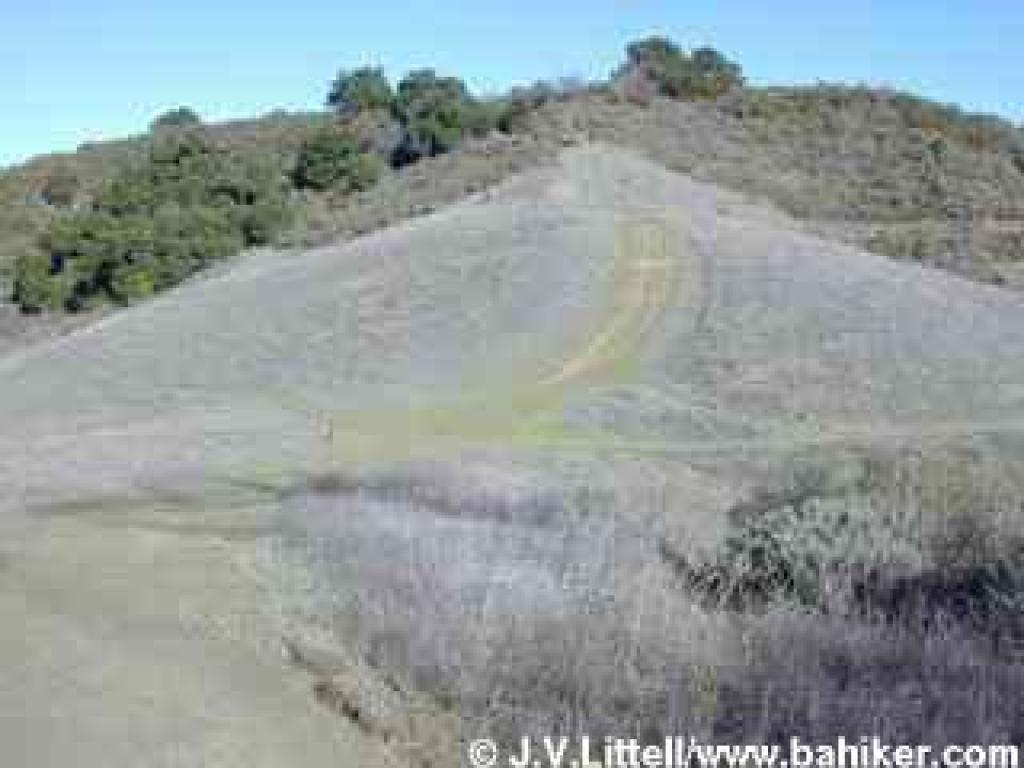 Grassland in Fremont Older