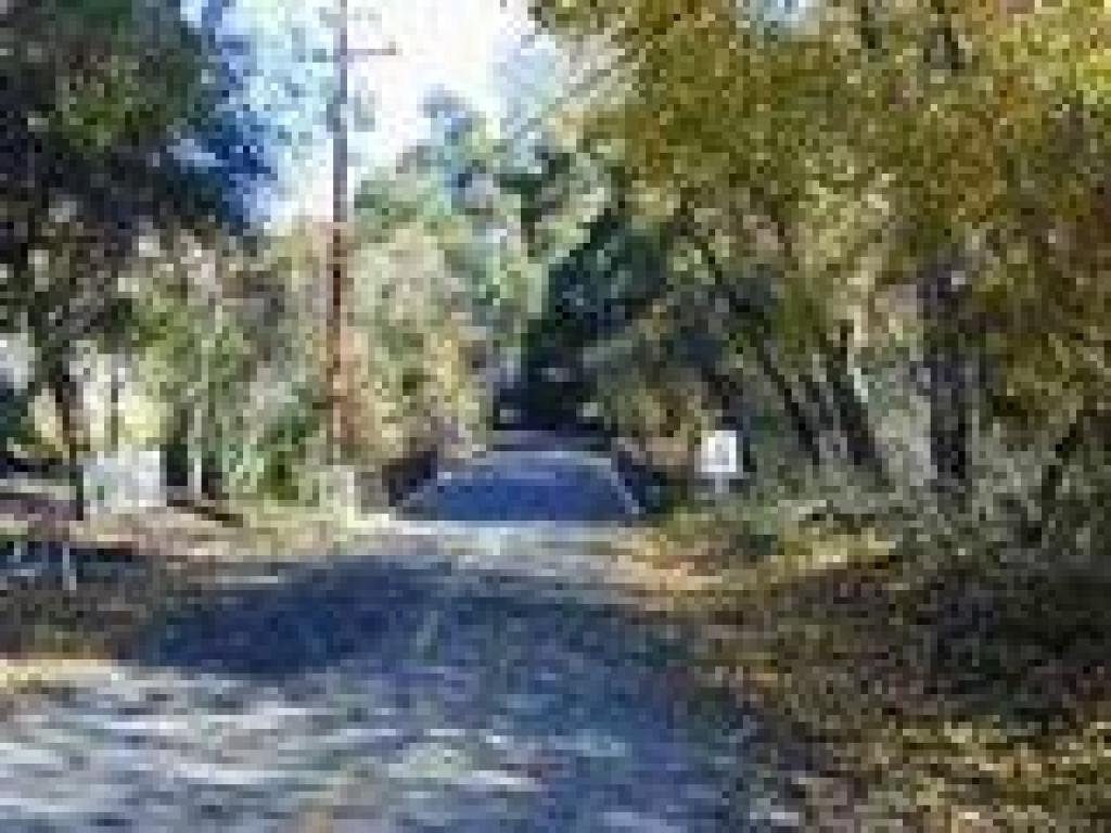Park road