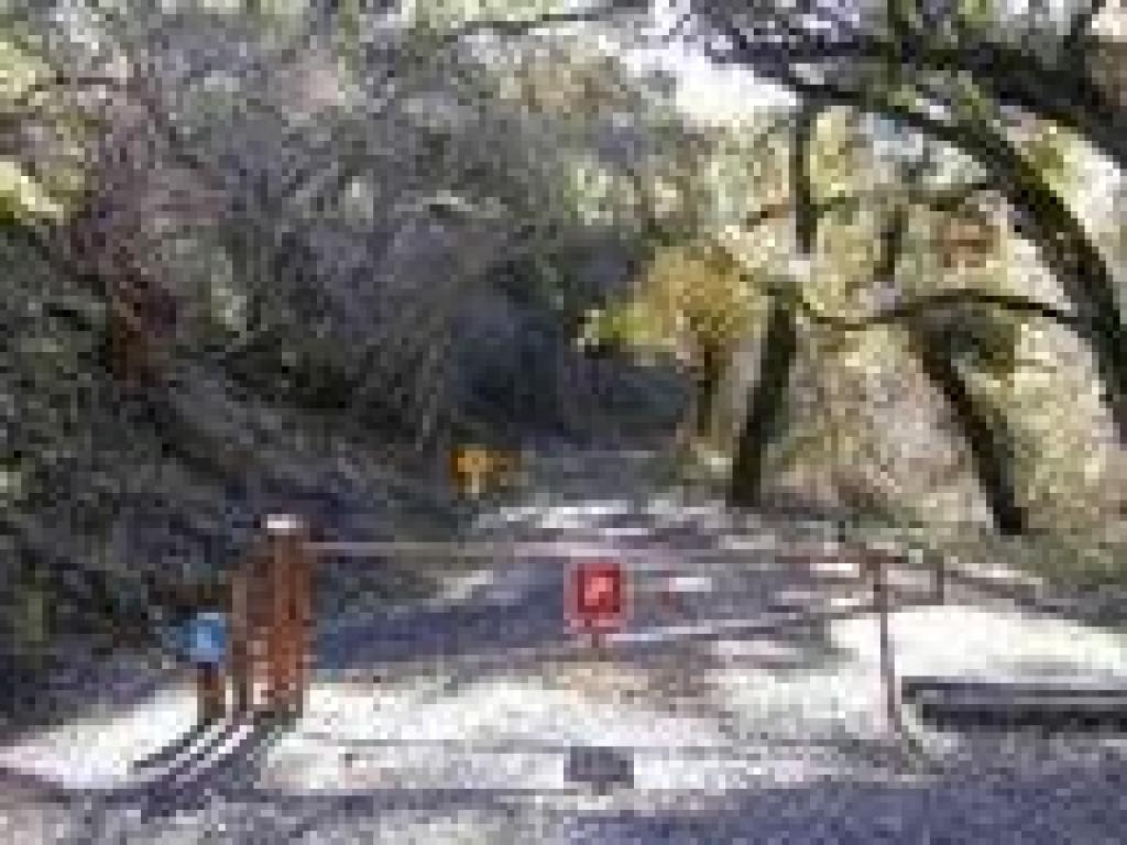 Stevens Creek Trail