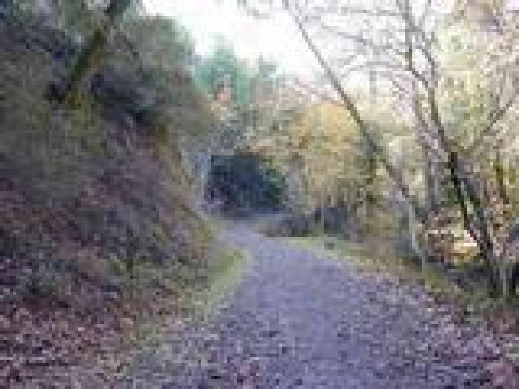 Trail