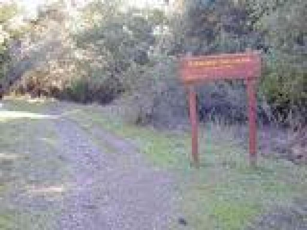 Volunteer built trail
