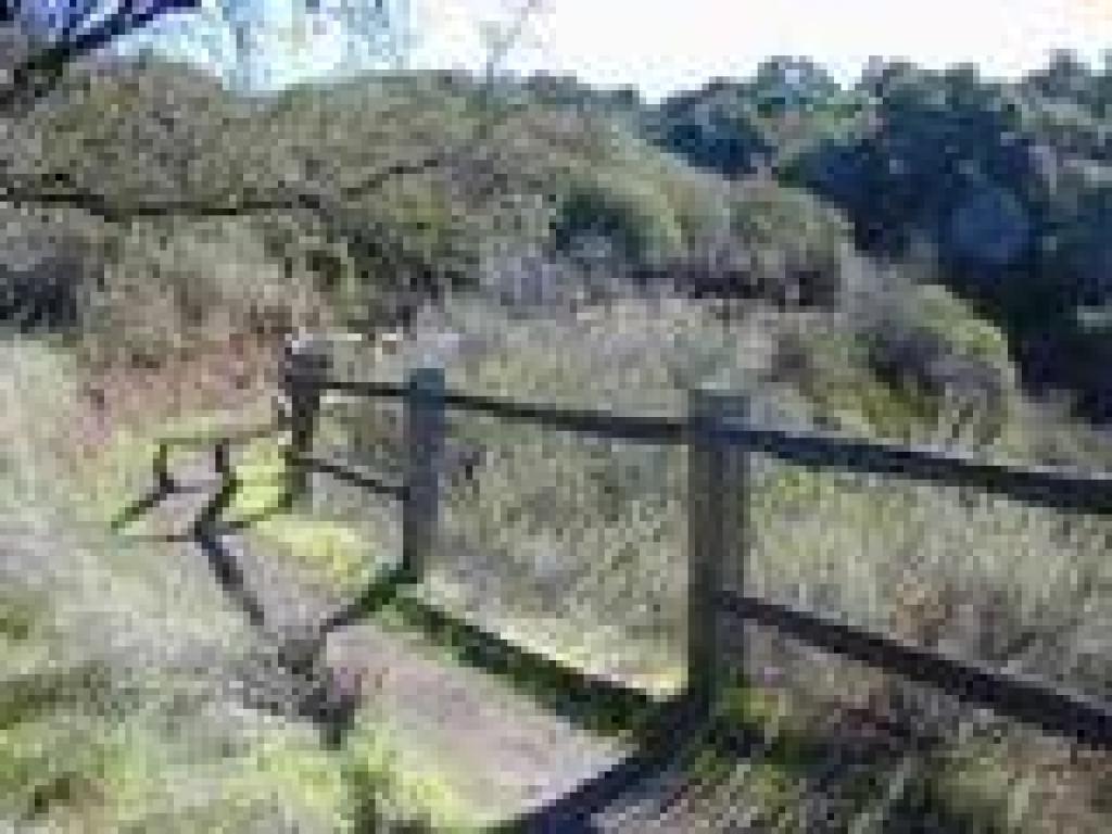 Fenced