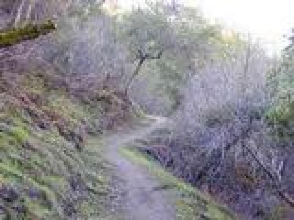 Ascending