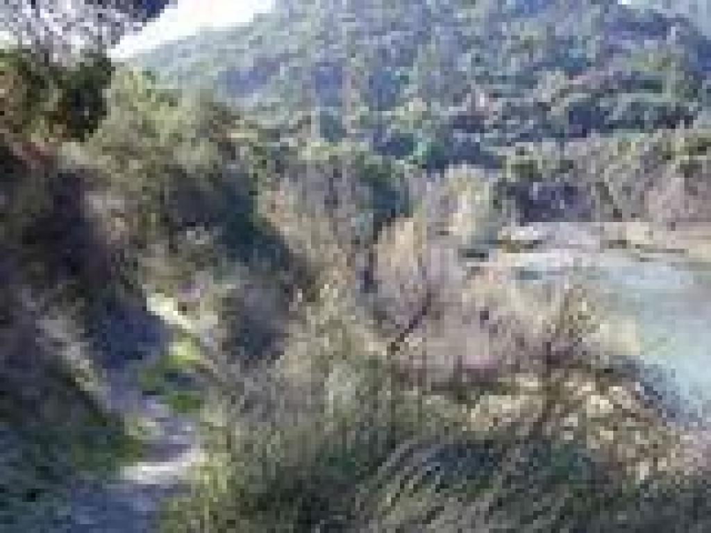 Trail
