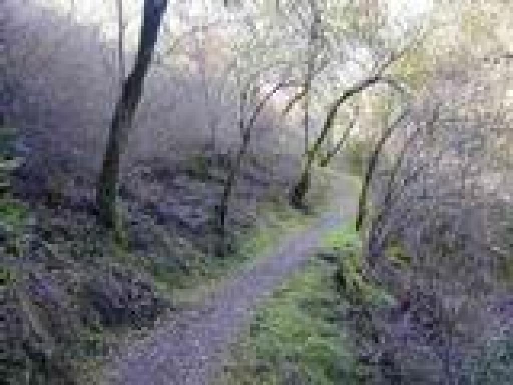 Ascending