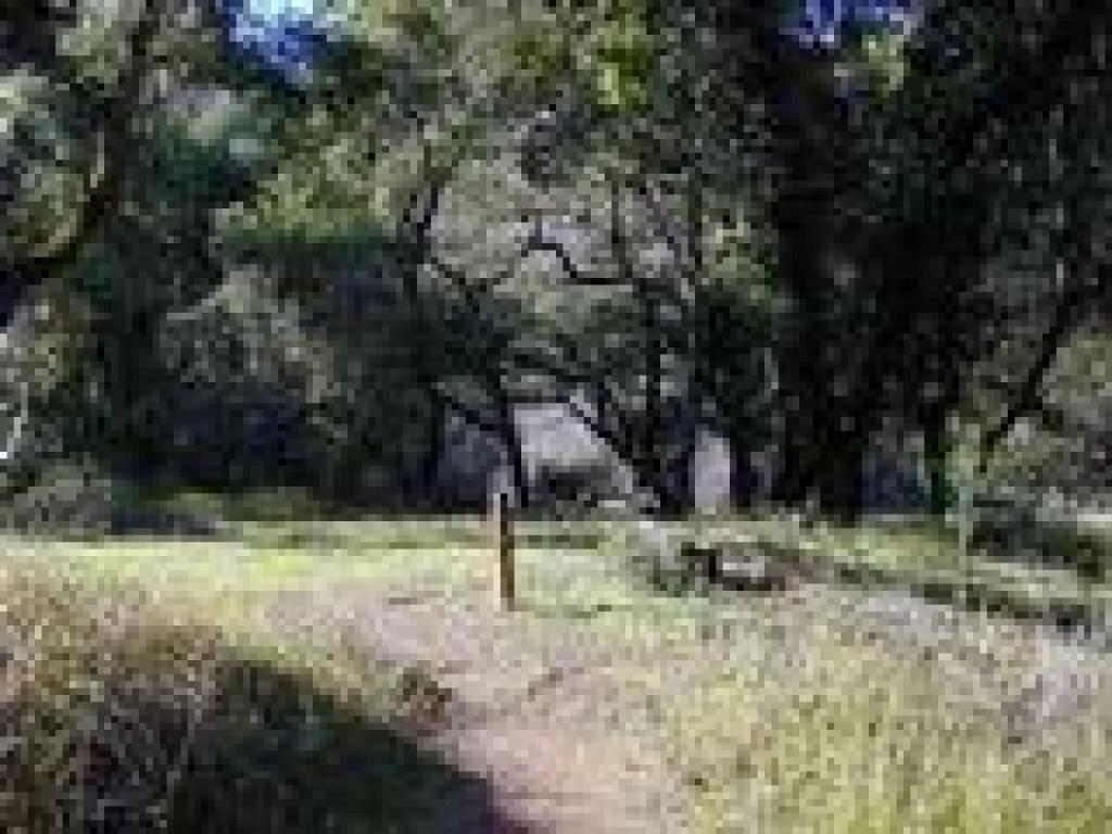 Laurel Flat