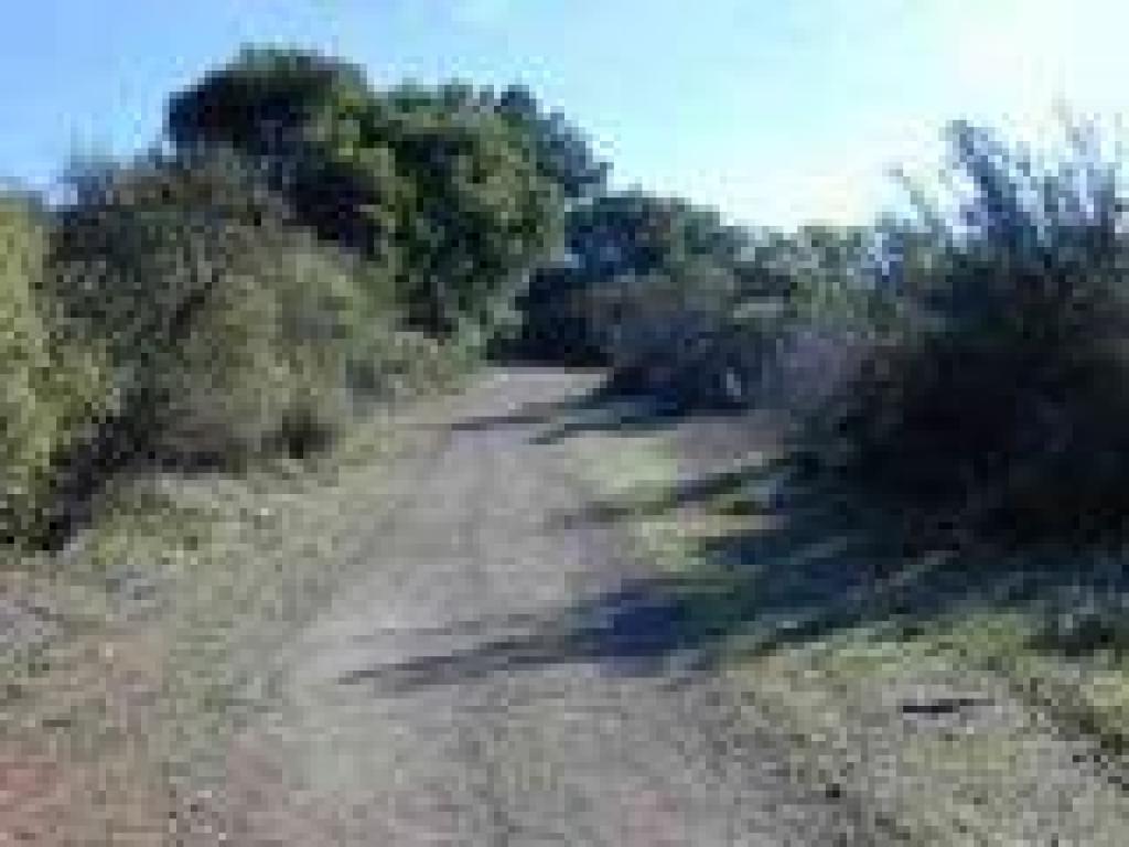 Trail widens