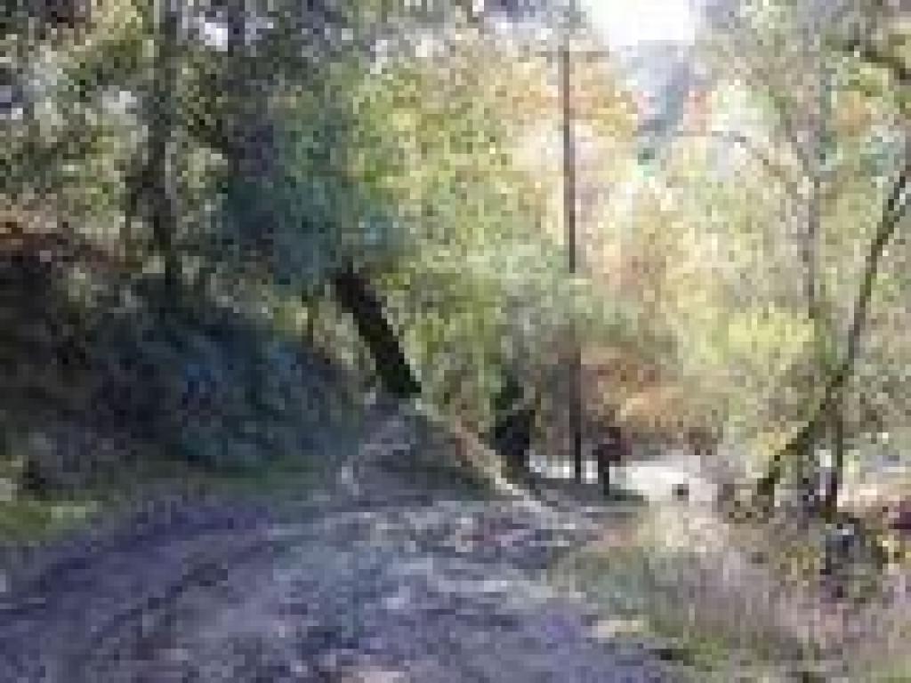 Junction