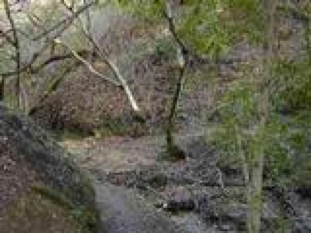 Muddy creek crossing