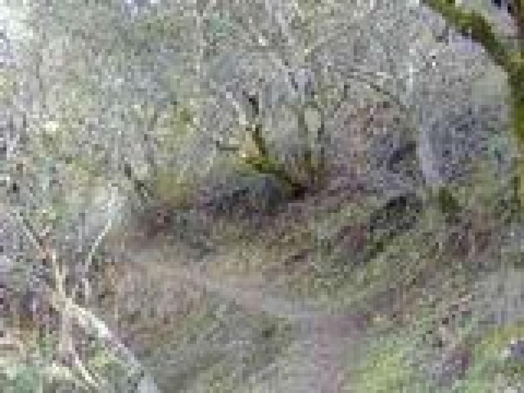 Climbing