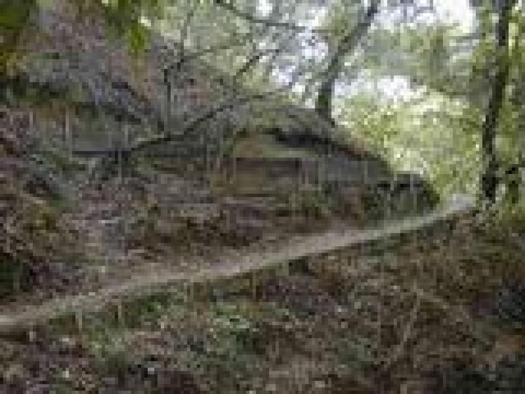 Switchback