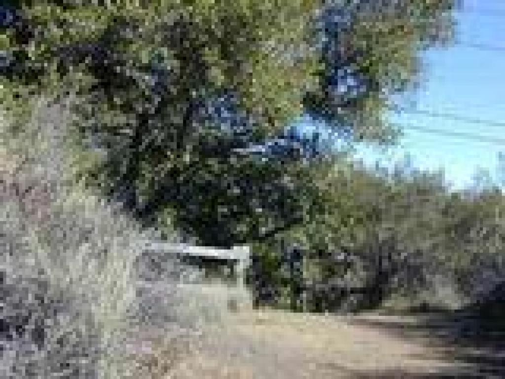 Crest and park border