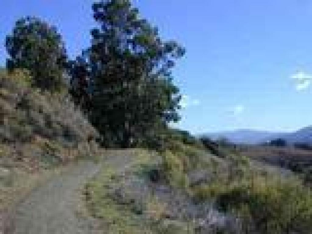 Vista Loop Trail