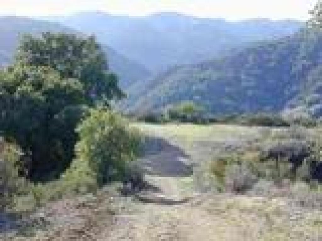Returning to Coyote Ridge Trail