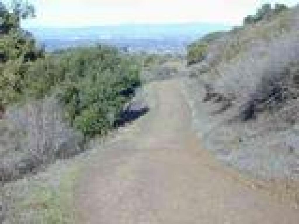 Coyote Ridge Trail