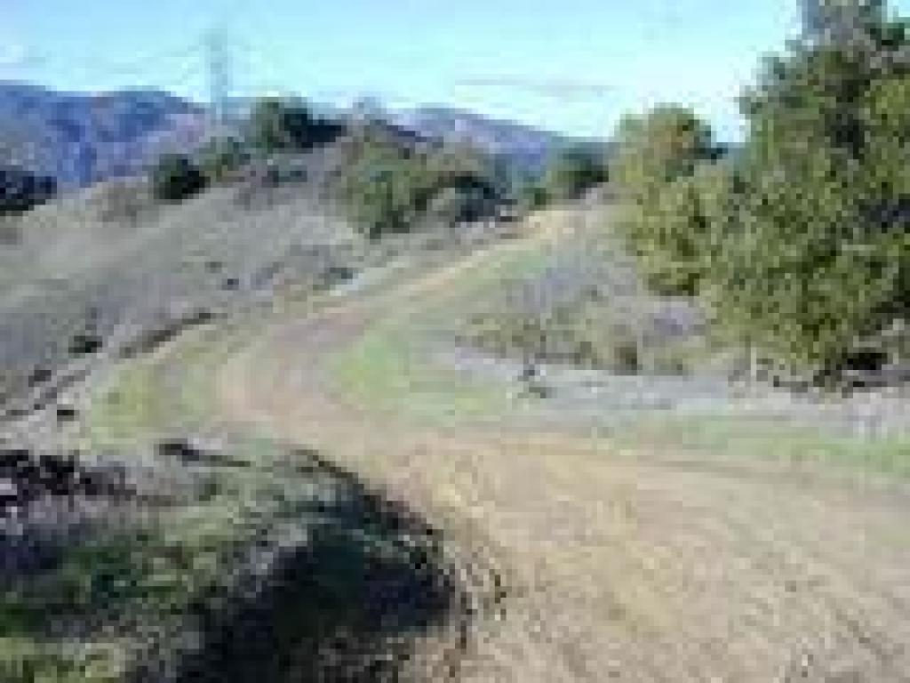 Coyote Ridge Trail