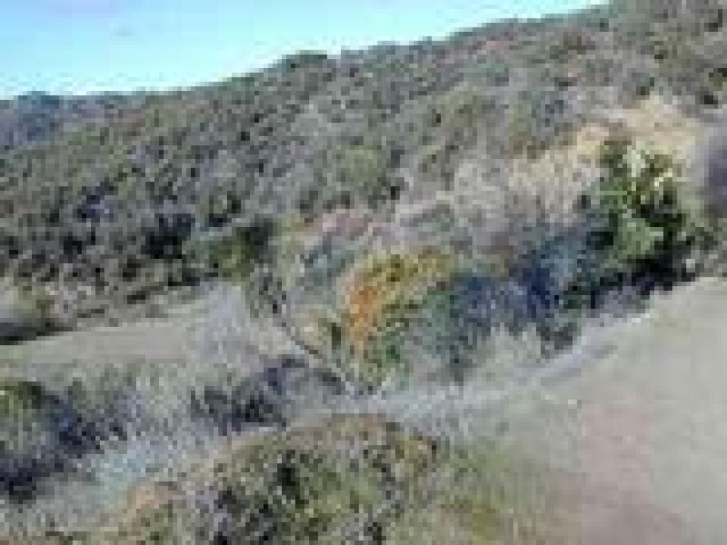Descending