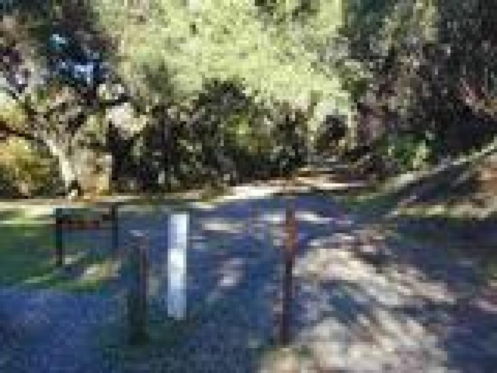 Returning to the trailhead