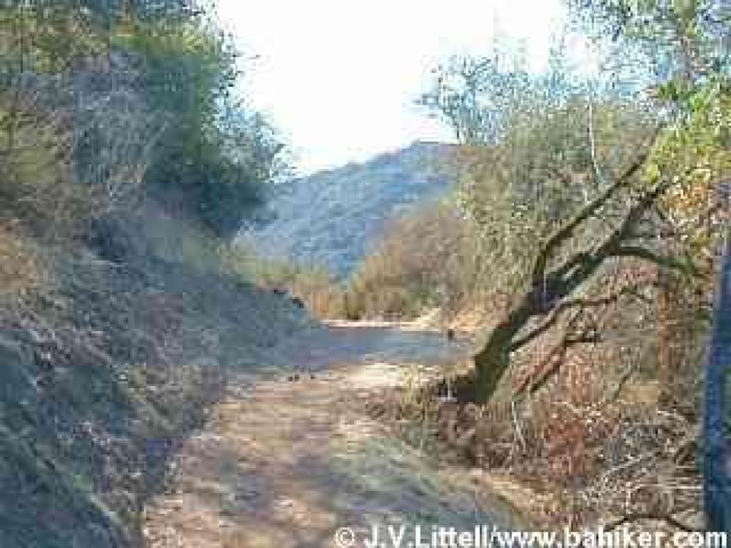 Photo of Stevens Creek Trail