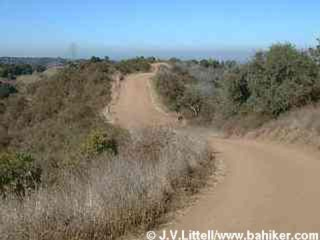 Photo of Coyote Ridge Trail