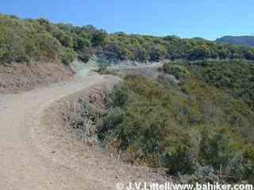 Manzanita Trail