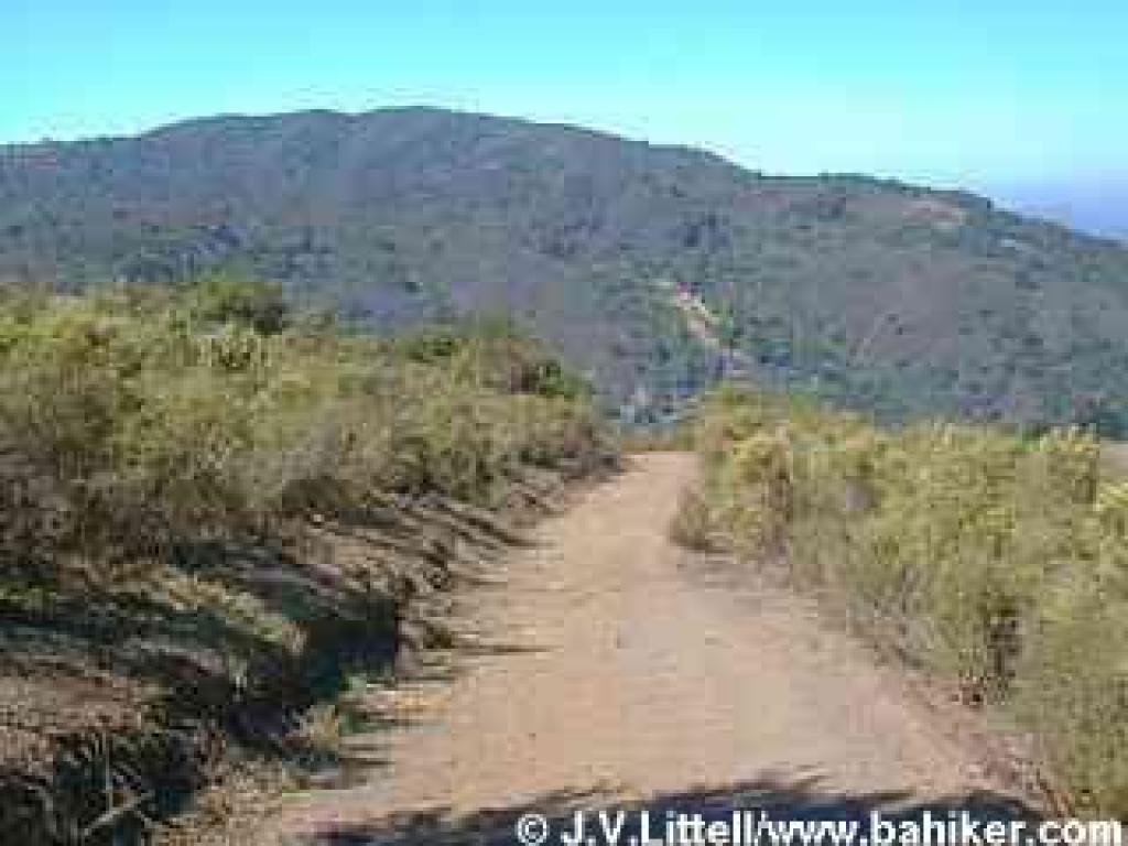 View north from near the top