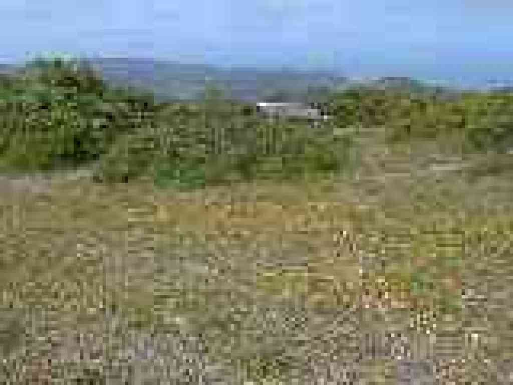 Bench and view