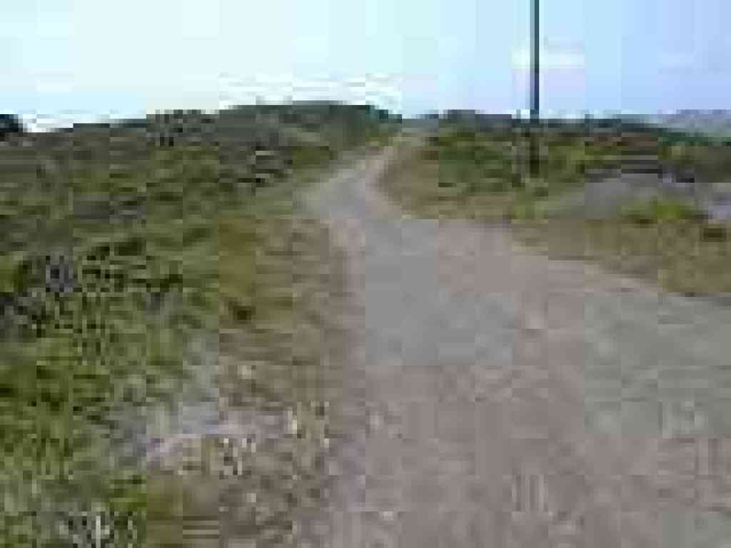 Sweeney Ridge Trail