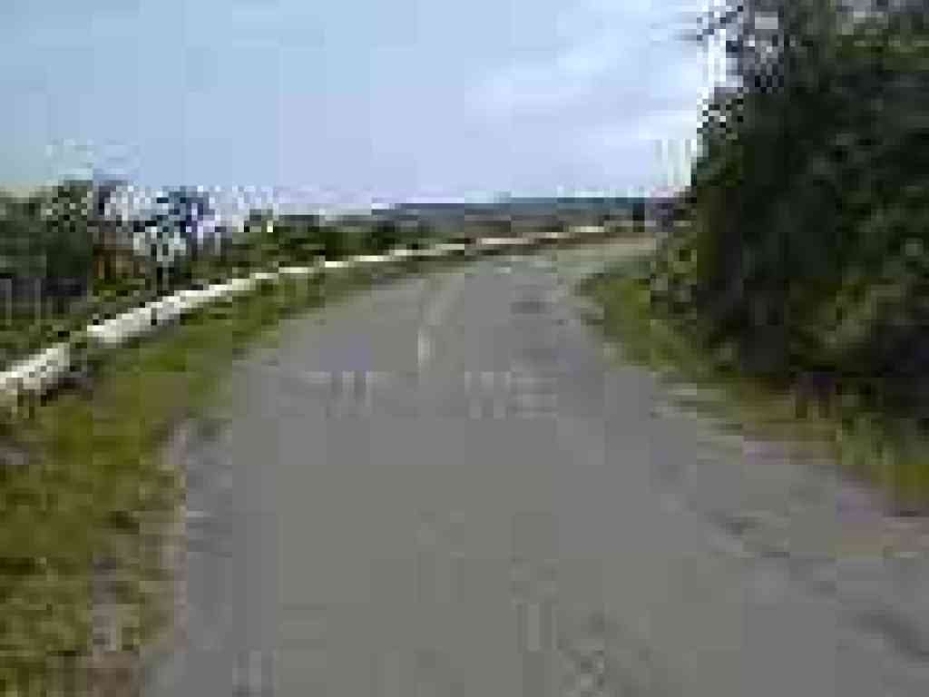 Fogline
