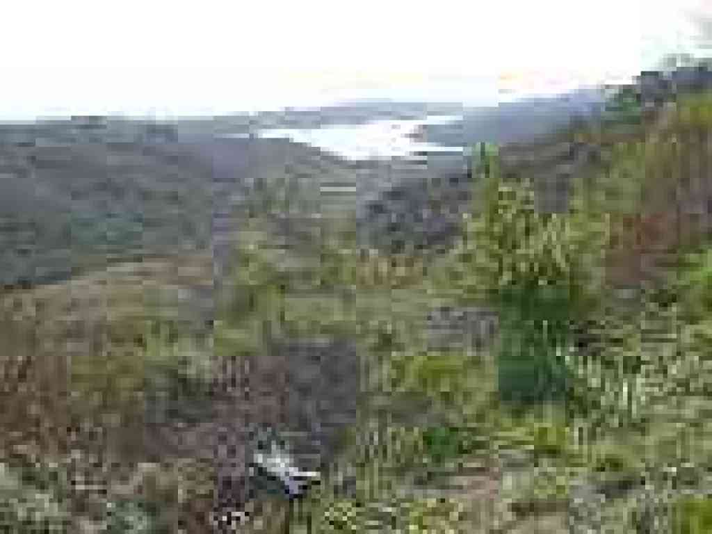 View of the reservoir
