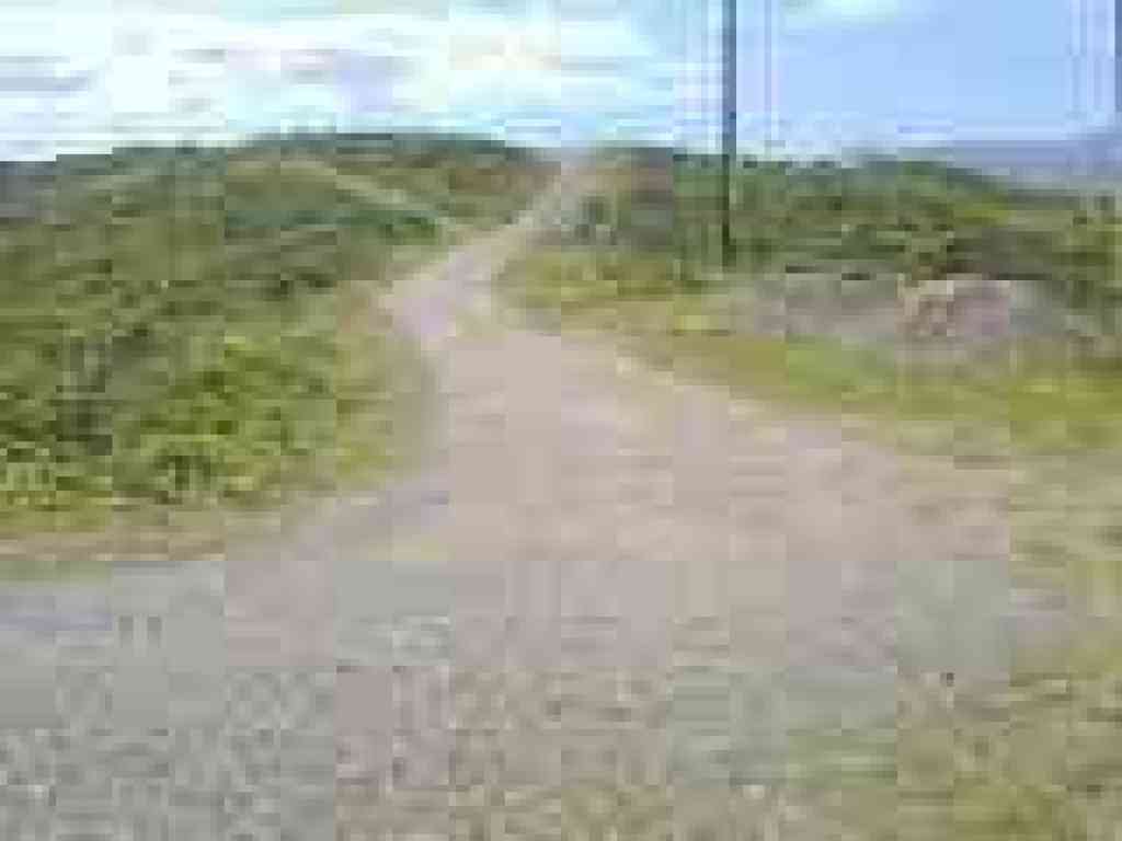 South