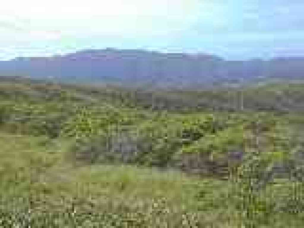 View to Montara Mountain