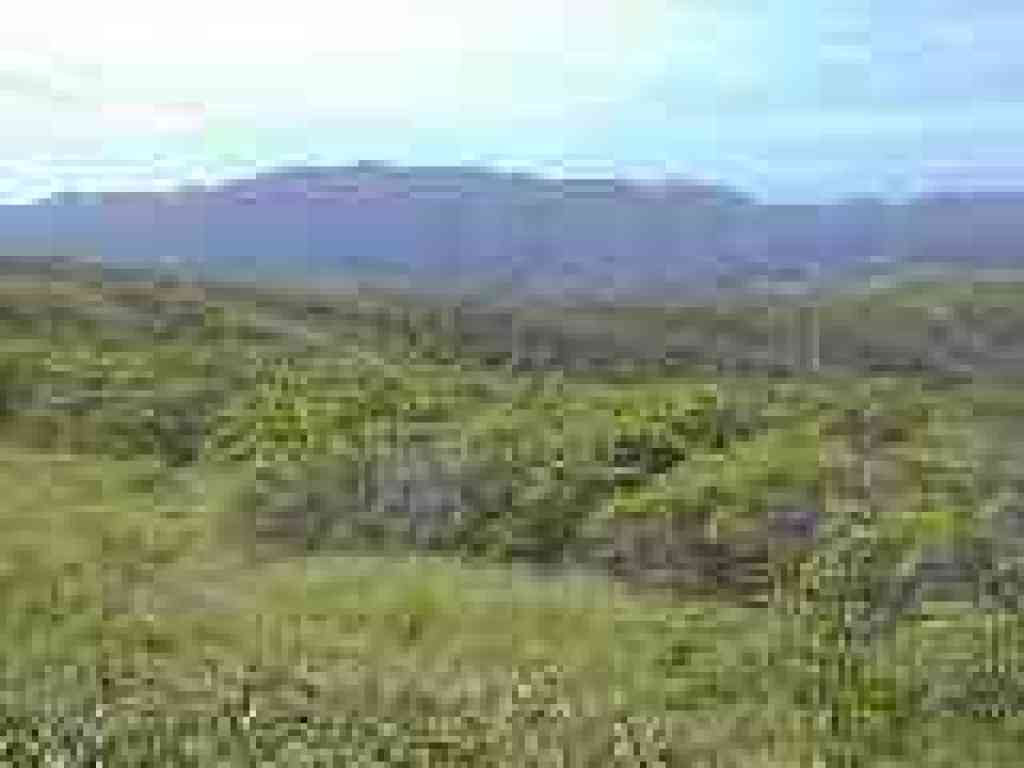 View to Montara Mountain