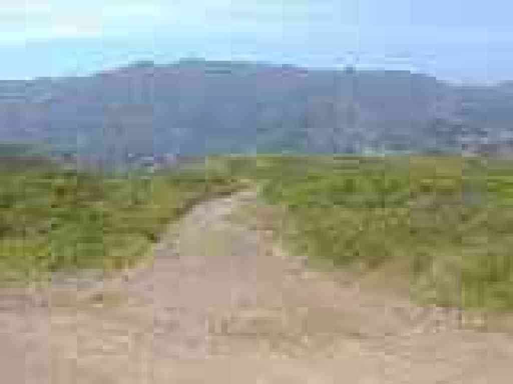 Baquiano Trail