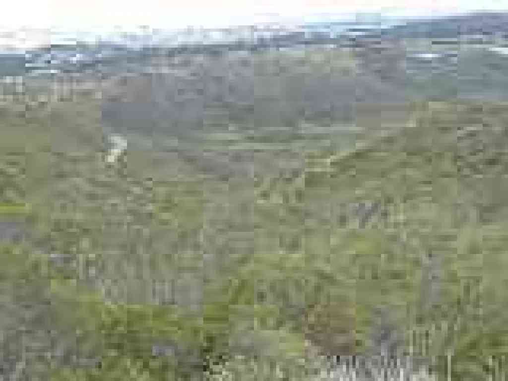 Looking back downhill