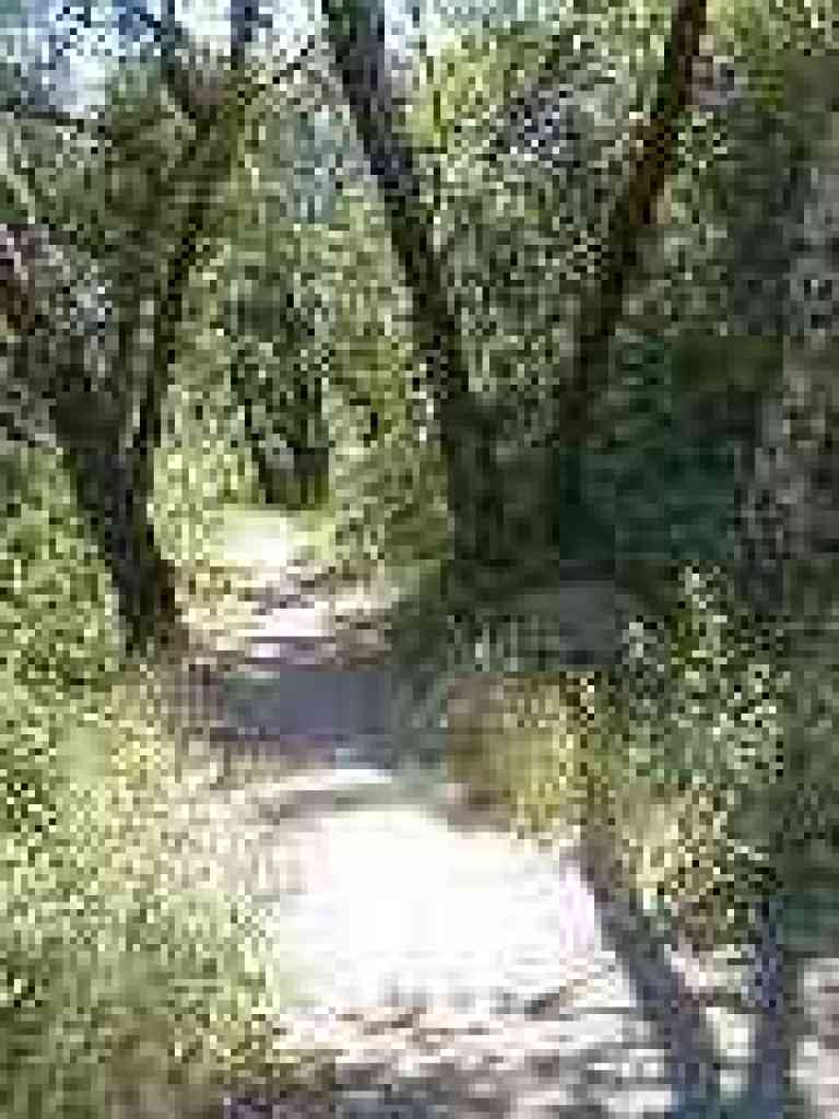 Start of the trail