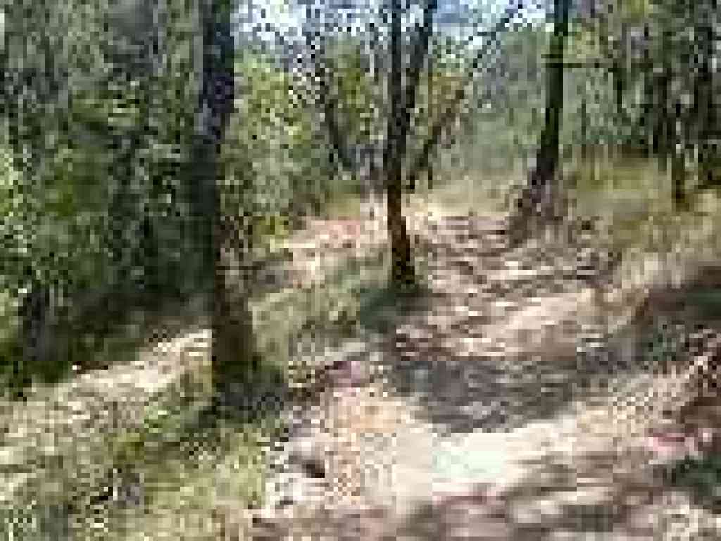 Switchback