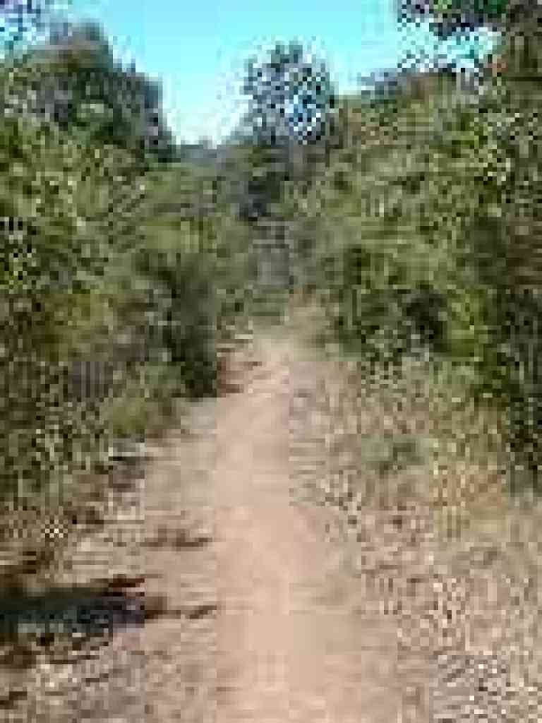 Through chaparral