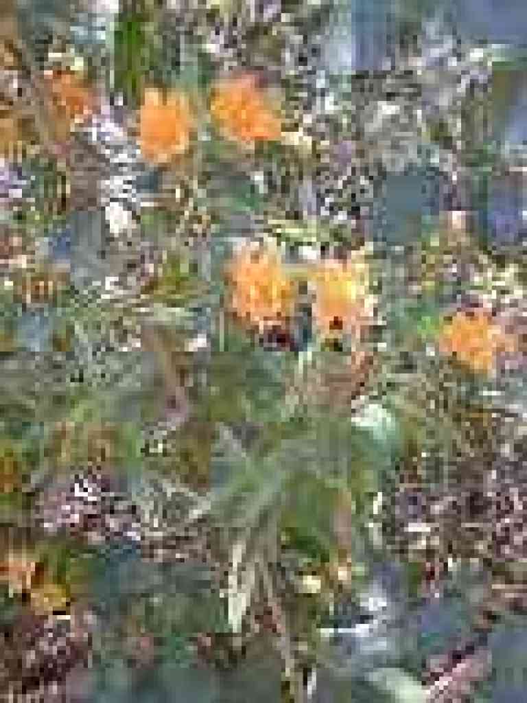 Monkeyflower