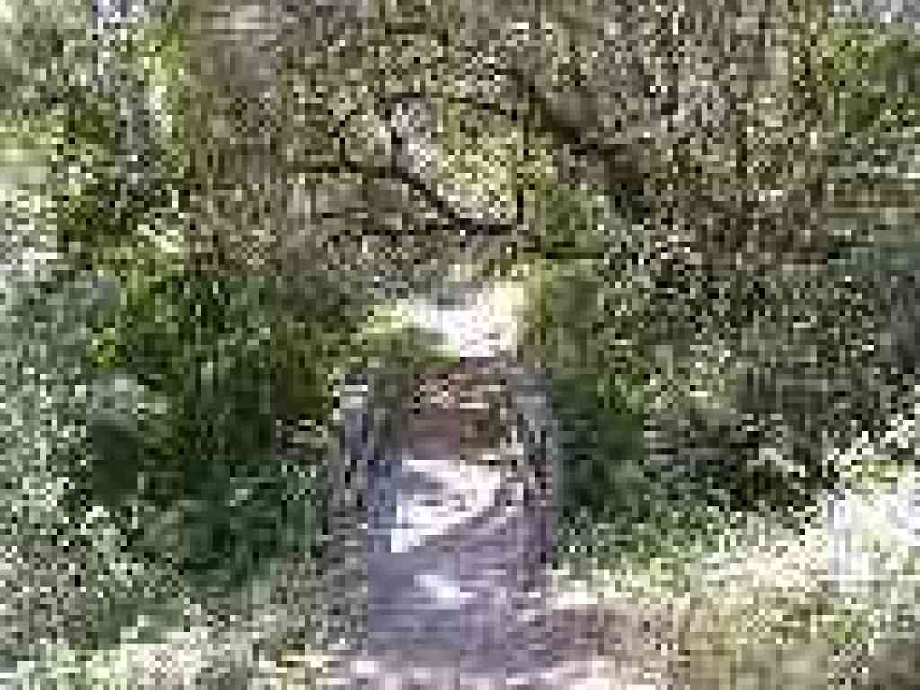 Bridge