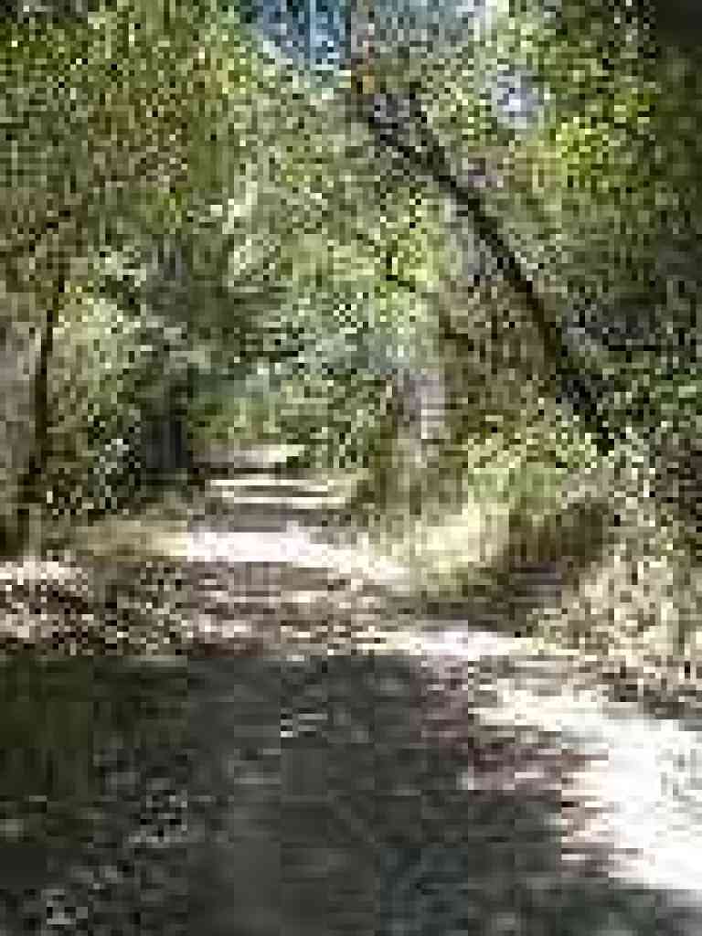 Wide section