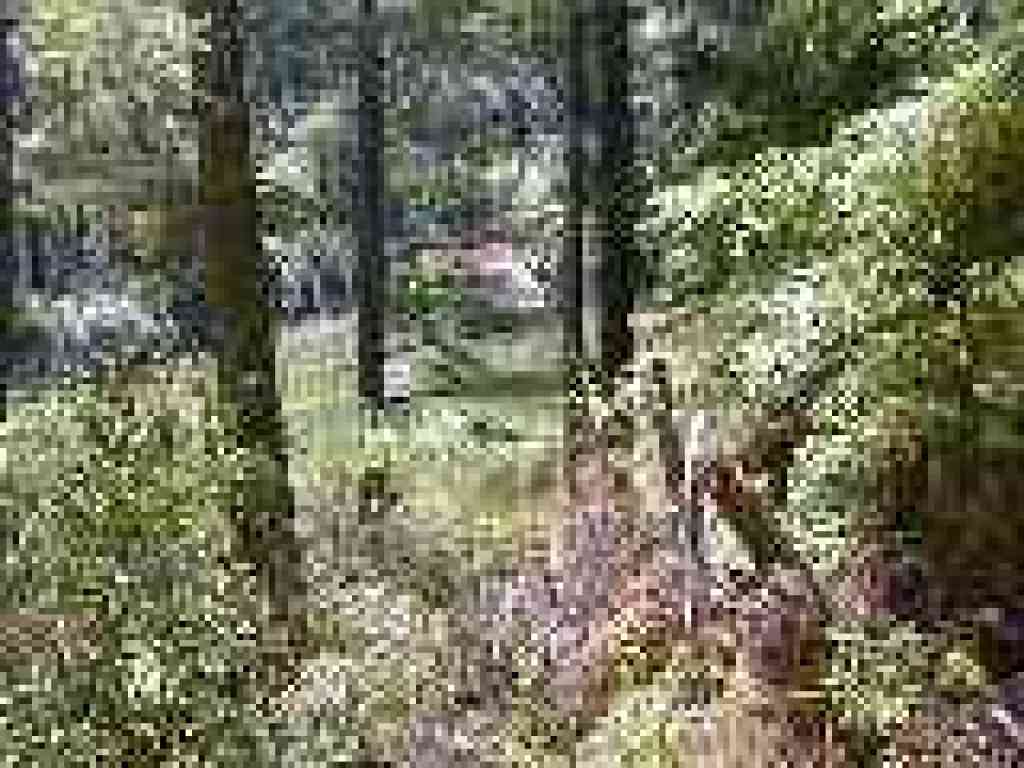 Schilling Lake