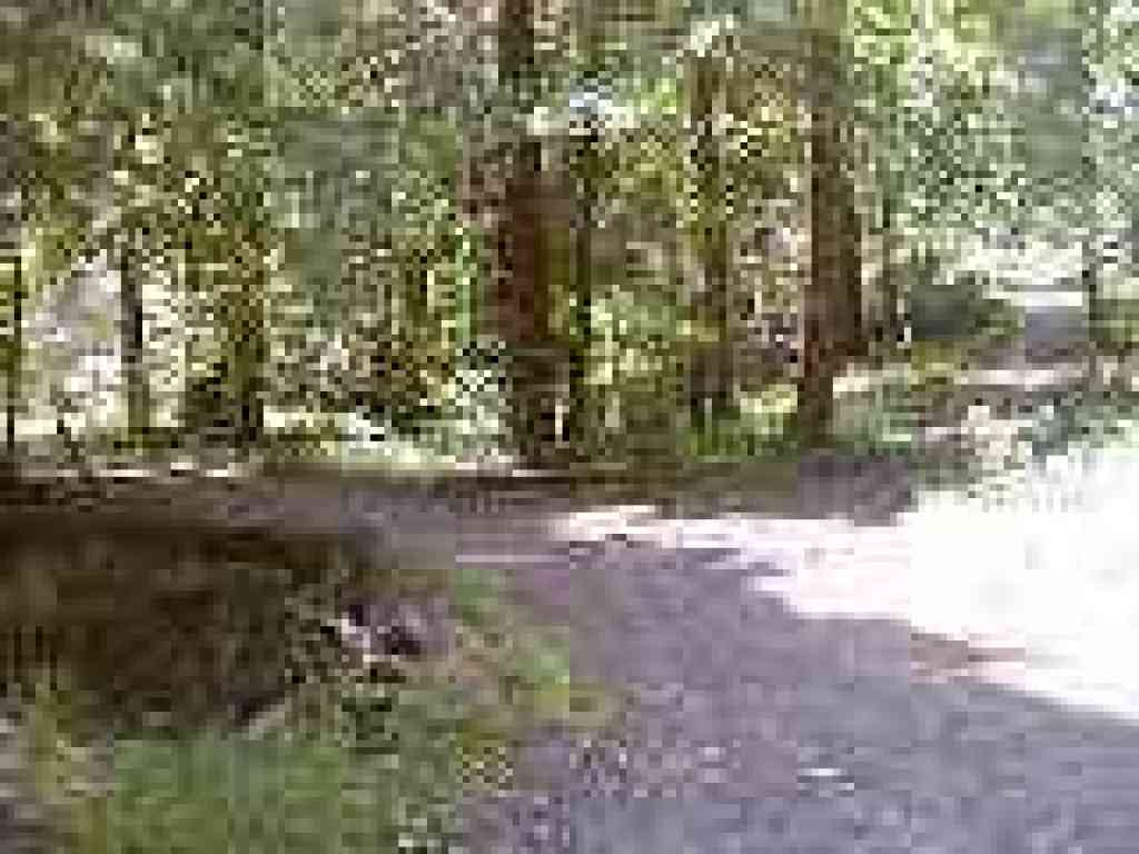 Unmarked trail