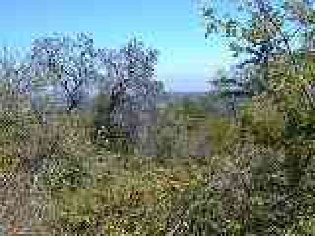 View east