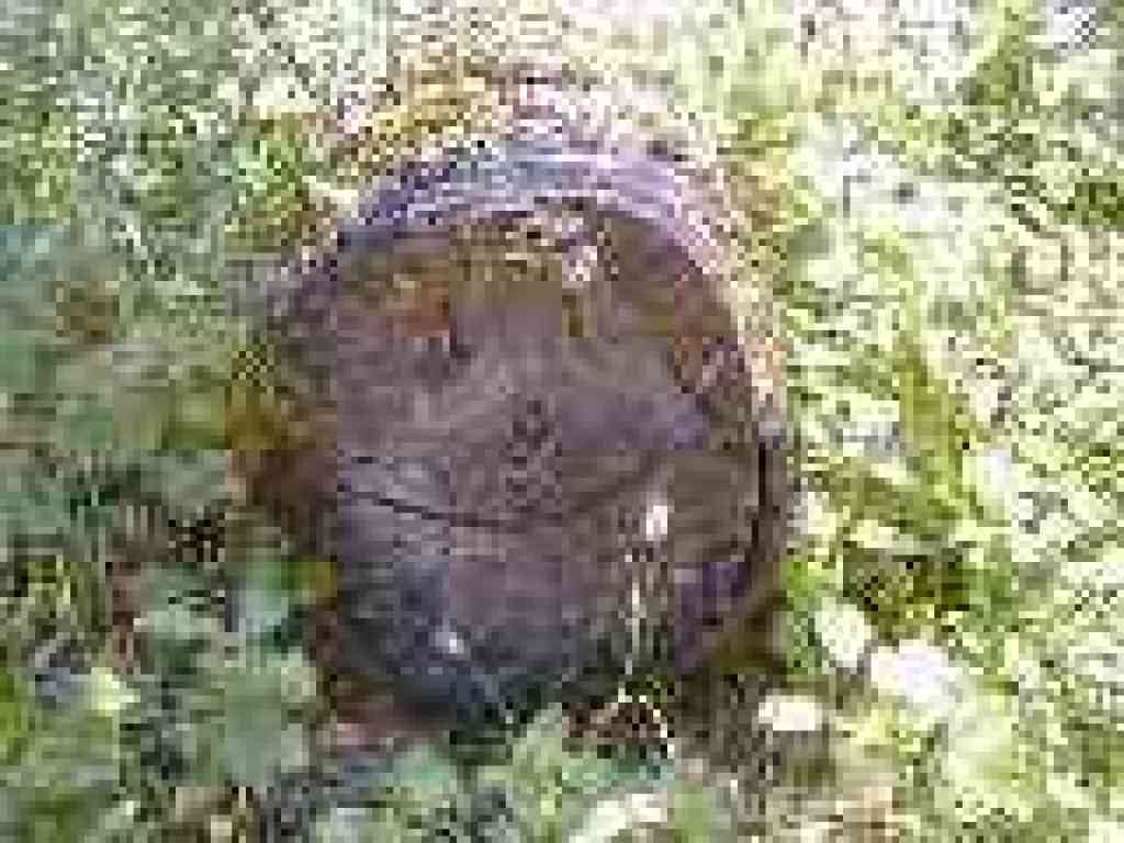 Smiley face