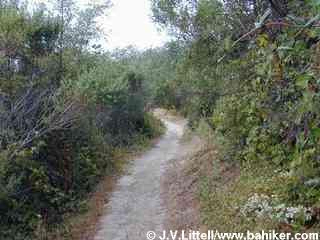 Trail
